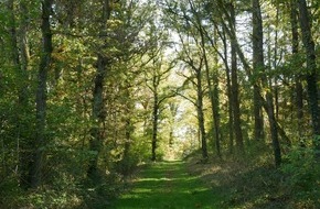 Energie- und Klimaschutzagentur Rheinland-Pfalz GmbH: "Kommunen Machen Klima" - der n&auml;chste Beitrag unserer Best-Practice-Reihe zu Ihrer freien Nutzung