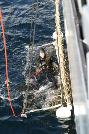 Deutsche Marine - Bilder der Woche: Ausbildung bei der Deutschen Marine - Erfahrung kommt von &quot;Fahren&quot;