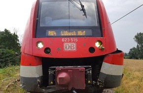 Bundespolizeiinspektion Rostock: BPOL-HRO: Regionalbahn kollidiert mit Baum