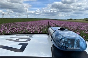 Polizeidirektion Neustadt/Weinstraße: POL-PDNW: Autofahrer unter Drogeneinfluss