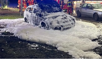 Polizei Minden-L&uuml;bbecke: POL-MI: Fahrzeugbrand in Dankersen
