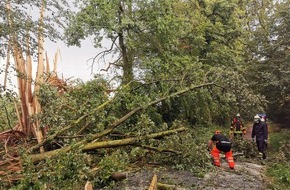 Freiwillige Feuerwehr Werne: FW-WRN: TH_1 - LZ1 - LZ3 - LG4 - Wasser im Keller, Baum auf Straße, ausgelöste Brandmeldeanlage