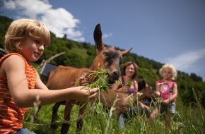 Urlaub am Bauernhof Tirol: Euro 837.356,41 Online-Buchungen seit Jahresbeginn (Stand 13. August
2012) - BILD