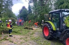 Freiwillige Feuerwehr Olsberg: FF Olsberg: Feuerwehr Olsberg fällt über 100 Jahre alte Esche nach Blitzeinschlag