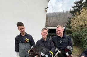 Feuerwehr Hagen: FW Hagen: Tierische Rettung, Schwein aus Notlage befreit