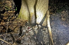 Polizei Mettmann: POL-ME: Wahrscheinliche Brandlegung in einem Waldstück - Erkrath - 2105062