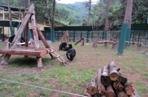 AAF Animals Asia Foundation e.V.: Vietnamesisches Rettungszentrum für Bären vor Ausweisung gerettet