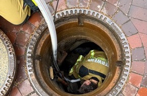 Freiwillige Feuerwehr Osterholz-Scharmbeck: FW Osterholz-Scharm.: Feuerwehr rettet Entenküken
