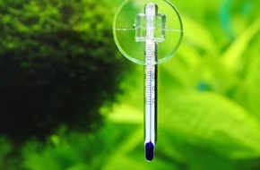 ZZF – Zentralverband der Heimtierbranche e.V.: Sommerhitze: Welche Extra-Pflege Aquarien und Gartenteiche jetzt brauchen