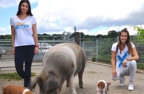 Beltretter e.V.: BELTRETTER fördern "Dänische Protestschweine"