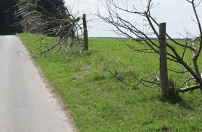 Polizeidirektion Göttingen: POL-GOE: (248/2012) Baumfrevler sägen drei Apfelbäume am Wegesrand ab