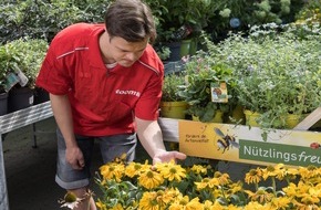 toom Baumarkt GmbH: Klima- und Naturschutz leicht gemacht und leicht erklärt / toom veröffentlicht dritte Broschüre in Leichter Sprache