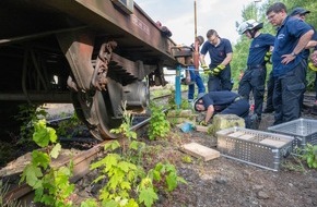 Freiwillige Feuerwehr Menden: FW Menden: Feuerwehr lernt Besonderheiten der Regionalzüge