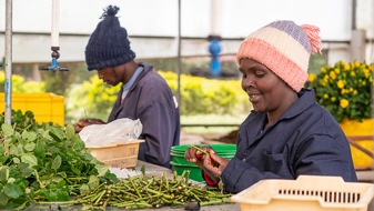 Max Havelaar-Stiftung (Schweiz): Studie zeigt: Fairtrade hat positive Auswirkungen auf das Leben der Blumenarbeiter:innen in Ostafrika