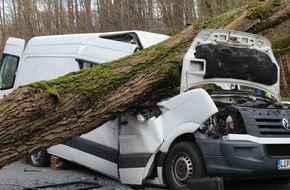 Polizei Lippe: POL-LIP: Detmold-Heiligenkirchen. Schwerverletzter durch umstürzenden Baum.