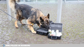 Polizei Duisburg: POL-DU: Fahrn: Ruhestörung führt zu Drogenfund - Diensthund Akeeba unterstützt Polizisten