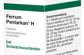 Deutsche Homöopathie-Union DHU-Arzneimittel GmbH & Co. KG: Mit Achtsamkeit und Homöopathie die innere Balance fördern / So wird Stress nicht zum Gesundheitsrisiko