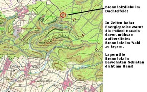 Polizeiinspektion Hameln-Pyrmont/Holzminden: POL-HM: Diebe entwenden Brennholz