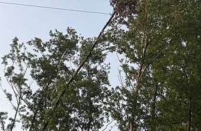 Freiwillige Feuerwehr Marienheide: FW Marienheide: Stromausfall in Marienheide: Baum stürzt auf Stromleitung und verursacht Versorgungsunterbrechung