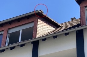 Polizeipräsidium Südhessen: POL-DA: Viernheim: Hitziges Dilemma auf dem Vordach / Einsatzkräfte retten Katze aus luftiger Lage