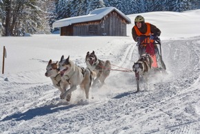 Winterspektakel für Mensch und Tier - Erster Schlittenhunde-Weltcup in Bad Hindelang seit 2018 – Kinder-Wettbewerb auf abgesicherter Strecke