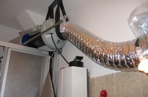 Polizeidirektion Göttingen: POL-GOE: (1393/2008) Unter Drogeneinfluss mit Mofa gestoppt - Bei Wohnungsdurchsuchung Hanfplantage entdeckt