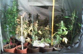 Polizei Rhein-Erft-Kreis: POL-REK: Beim Cannabisverkauf erwischt - Hürth
