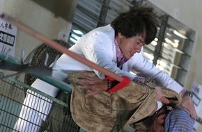 ProSieben: Einbrecher auf Abwegen: Jackie Chan in "Rob-B-Hood" am Freitag auf ProSieben