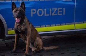 Polizei Hamburg: POL-HH: 221118-4. Polizei nimmt mutmaßliche Automatenaufsprenger in Hamburg-Farmsen-Berne fest