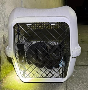 FW Dinslaken: Tierrettung in Dinslaken - Drei Katzen aus Versorgungsschacht gerettet