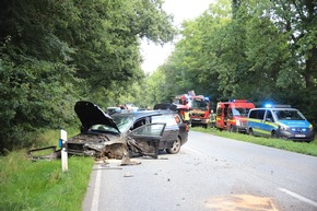 FW-SE: Schwerer Verkehrsunfall mit 12 Verletzten