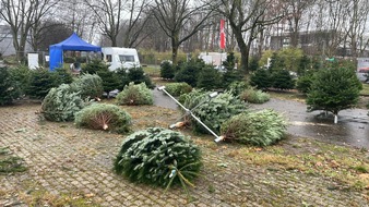 Polizei Essen: POL-E: Essen: Diebstahl von 30 Tannenbäumen - Zeugenaufruf