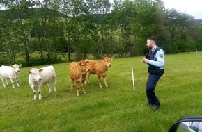 Bundespolizeidirektion Sankt Augustin: BPOL NRW: Tierischer Einsatz für Siegener Bundespolizei