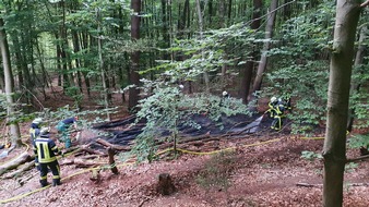 Feuerwehr und Rettungsdienst Bonn: FW-BN: Waldbrand im Ennert