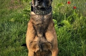 Polizei Köln: POL-K: 230731-4-K Diensthund stellt mutmaßliche Kupferdiebe