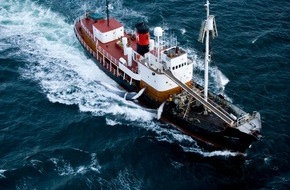 IFAW - International Fund for Animal Welfare: Island: Zustimmung zu Walfang sinkt trotz neuer Walfangaktivitäten