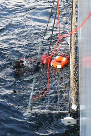 Deutsche Marine - Bilder der Woche: Ausbildung bei der Deutschen Marine - Erfahrung kommt von &quot;Fahren&quot;