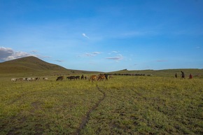 Biodiversity Project in Tanzania: On Earth Day 2026, AbTF Delivers Positive Interim Report