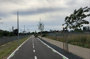 Polizeipräsidium Krefeld: POL-KR: Nachtrag zur Meldung 4115809 - Unbekannte sägten 30 Bäume ab