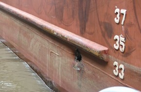 Wasserschutzpolizeiinspektion Oldenburg: WSPI-OLD: Leichter Seeschiffsunfall am Containerterminal Wilhelmshaven
