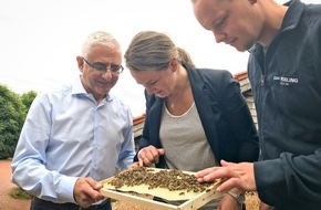 WESSLING GmbH: Bienen als verbindendes Element in der Mitarbeiterschaft / Zeichen für Umweltschutz und Erhalt der Artenvielfalt