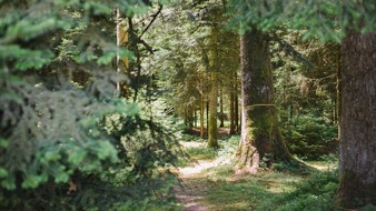 Mehr Flexibilität im FriedWald