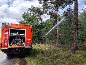 FW Lüchow-Dannenberg: 3. Zug der Kreisfeuerwehrbereitschaft übt Waldbrandszenario im Raum Müggenburg/Grabow +++ rund 30 Einsatzkräfte im Einsatz +++ zum ersten Mal Krad-Melder beteiligt