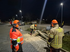 FW Lehrte: "Achtung - Baum fällt" - Stadtfeuerwehr Lehrte bildet 11 neue Motorsägenführer*innen aus