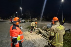 Freiwillige Feuerwehr Lehrte: FW Lehrte: "Achtung - Baum f&auml;llt" - Stadtfeuerwehr Lehrte bildet 11 neue Motors&auml;genf&uuml;hrer*innen aus
