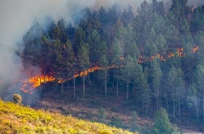 Europäischer Rechnungshof - European Court of Auditors: Forest fires: unclear results of EU-funded measures