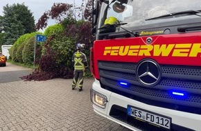 Freiwillige Feuerwehr H&uuml;nxe: FW H&uuml;nxe: Baum blockiert Stra&szlig;e