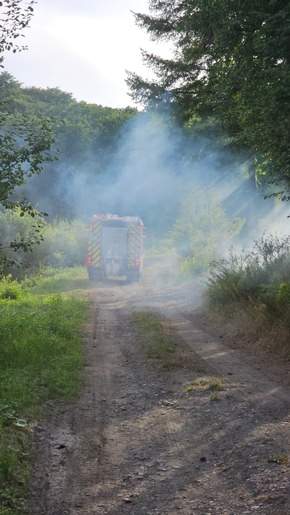 FW-AR: Interkommunale Waldbrandübung der Feuerwehren Ense und Arnsberg