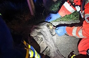 Freiwillige Feuerwehr Schalksmühle: FW Schalksmühle: Drei tote Katzen und ein toter Hund nach Brand an Volmestraße
