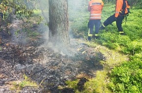 Freiwillige Feuerwehr Celle: FW Celle: Feuer im Unterholz in Westercelle!